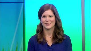 Melanie Puchot DVM DACVIM on the Pet Stop