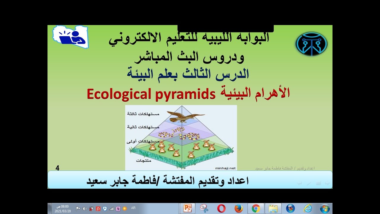 الاهرام البيئية