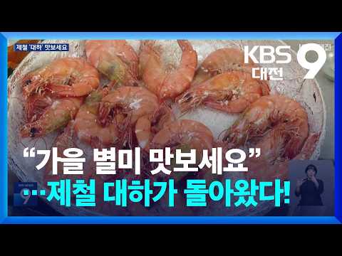 “Taste the Autumn Delicacy”…Seasonal Jumbo Shrimp is Back! / KBS 09/11/2026.
