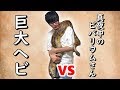 【2mオーバー】真夜中のビバリウムさんと我が家のヘビ達(アカニシキヘビ)