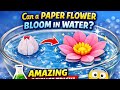 Paper flower bloom in water experiment | experiment for kids 🙂