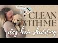 Stop Fighting Pet Hair! My Secret Deep Cleaning Routine for a Hair-Free Home