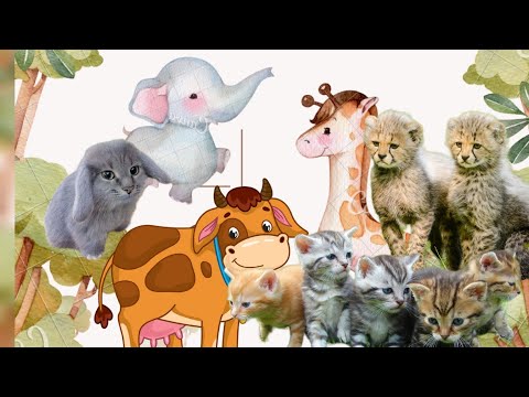 Farm animals  Home Pets  Sound  for kids  Goat  Elephant  Cat  Cow  Funny  AnimalsCute animals video