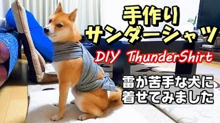 柴犬おーじろう 雷怖い 手作りサンダーシャツ Diy Thundershirt Youtube