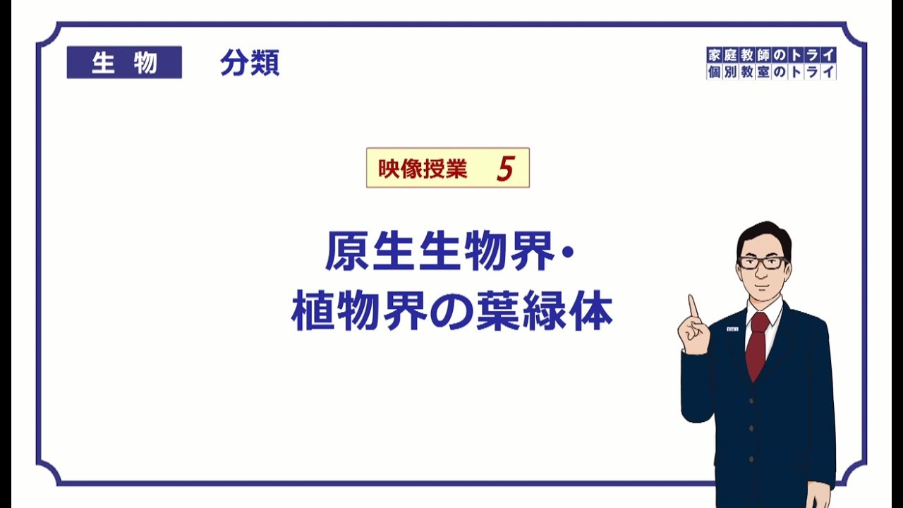 【高校生物】　分類5　原生生物界・植物界の葉緑体（22分）