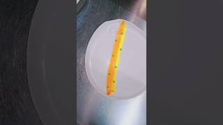 Food plating ideas shorts ytshorts trendingshorts art shortvideo youtubeshorts