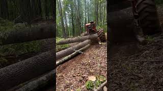 #timberjack #winching #oldschool #valogger #562xp #logging #woodgrain