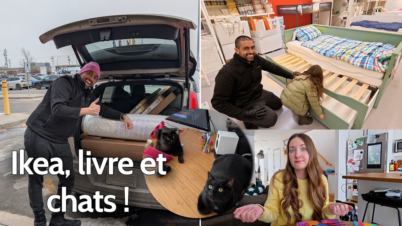 Virée au Ikea, nouveau livre et les chats s'aiment ! | On rénove sa chambre partie 2