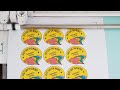 How To Print & Cut Stickers On "Printable Vinyl" - Start To Finish - Silhouette Cameo