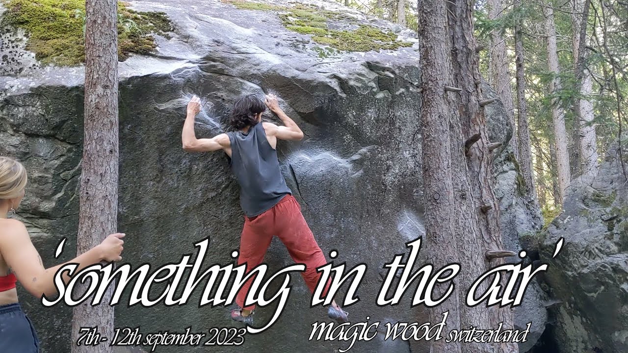 Magic Wood YouTube: Strategi Monetisasi dengan AdSense dan Tantangannya