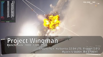 Project Wingman , Proton 7.0-3 Linux , Benchmark