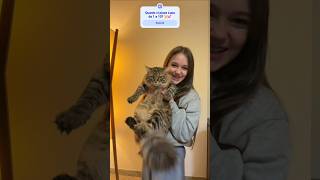 Almeno lui non mi fa ingelosire, vero Lollo? 😅💕