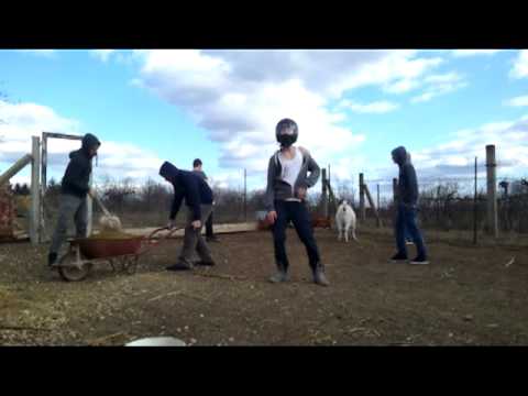 Harlem Shake Farm Edition