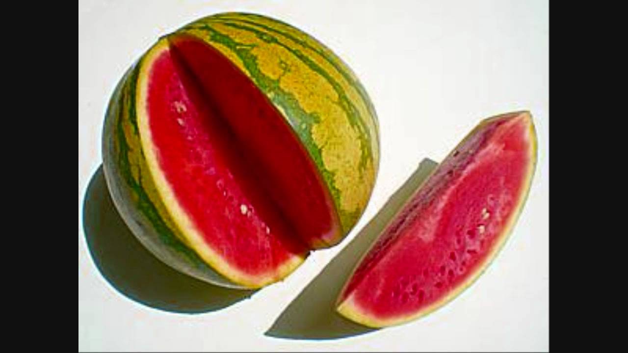 Watermelon Man Jazz Jamaica