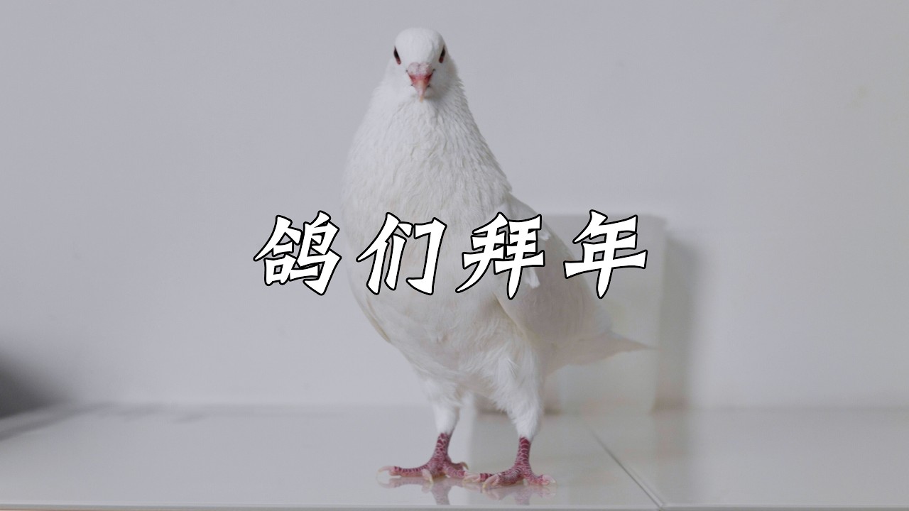 大过年的，这鸽们彻底疯狂了...