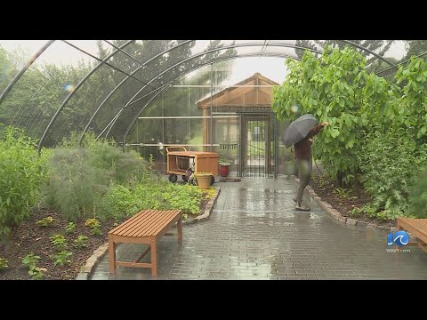 Video Norfolk Botanical Garden nominated for Best Butterfly Garden