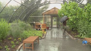 Norfolk Botanical Garden nominated for #1 Best Butterfly Garden