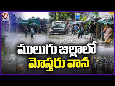 Rain Lashes In Mulugu | Telangana Rains | V6 News - V6NEWSTELUGU