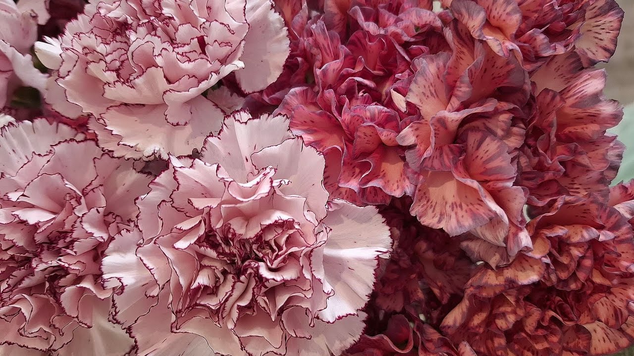 Matter and Energy Lab. Report video