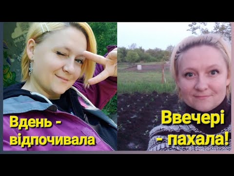 Закупи на 8000 гривень і висадка розсади до ночі / блог хуторяночки