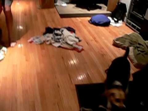 The Aftermath Of The Nuttianni Leaks