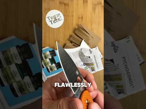 Day 1️⃣2️⃣: Edge Retention Testing - Spyderco Sage 5 Rex 121  