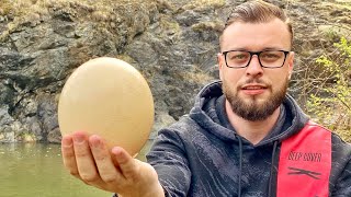 Etli Çırpılmış Devekuşu Yumurtası.