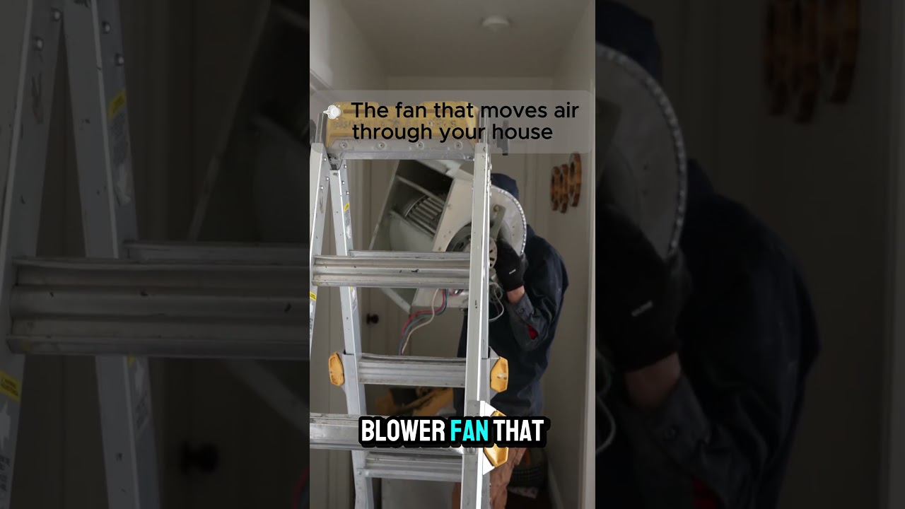 YouTube Short