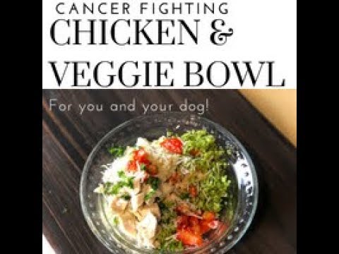 cancer-fighting-chicken-&-veggie-bowl-for-you-&-your-dog!---healthy-dog-eats