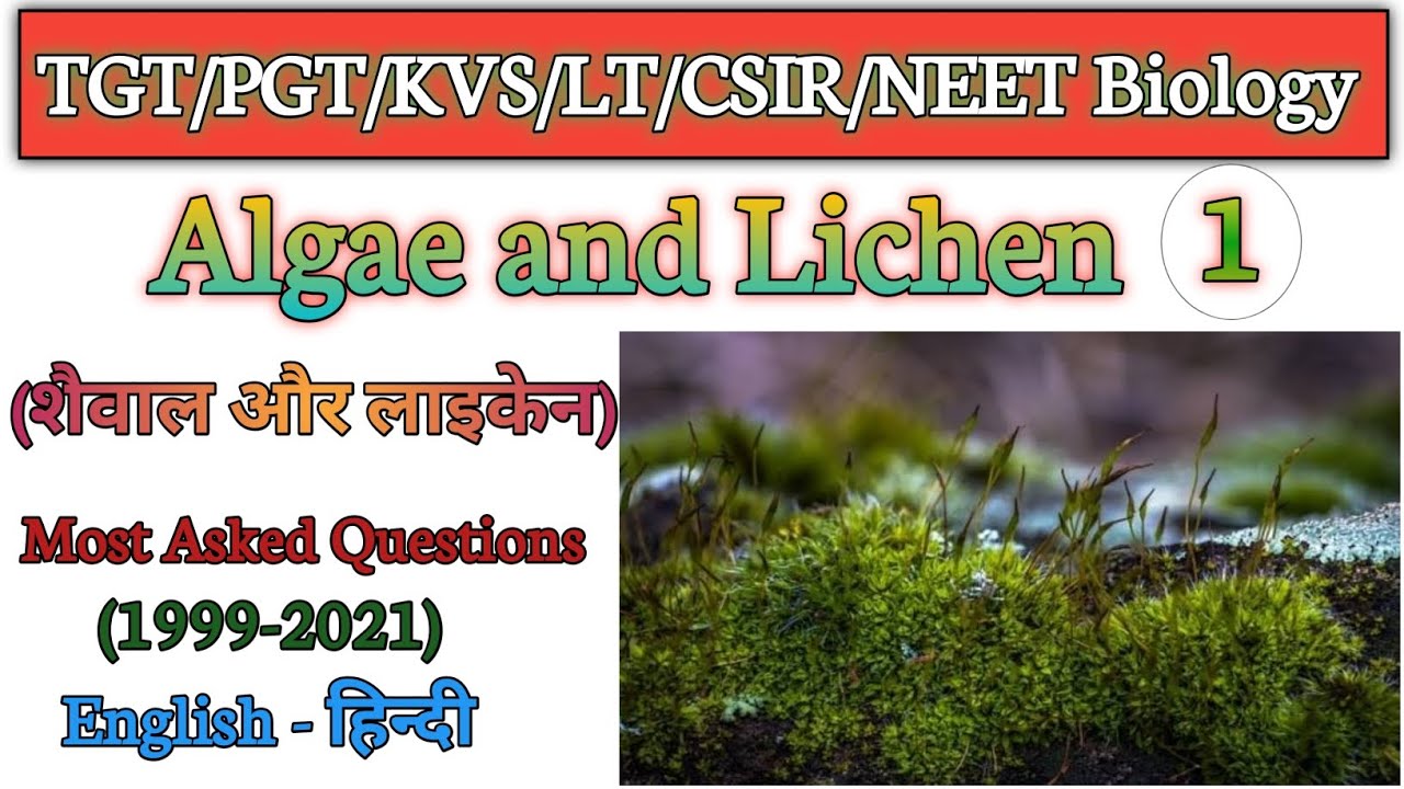 Biology TGT/PGT/KVS/LT Previous Year Question Paper //Algae and Lichen//
