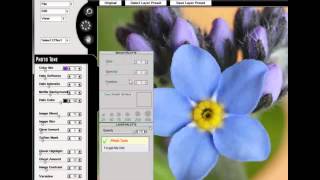 Introduction to DreamSuite Ultimate screenshot 4