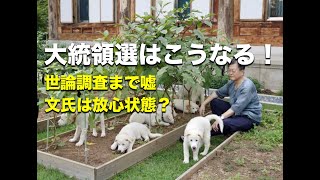 大統領選はこうなる！世論調査まで嘘、文氏は放心状態？（2021.9.5）#李相哲#文在寅#韓国#SNS#予備選