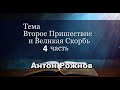 Разбор Слова: Второе Пришествие и великая скорбь. Часть 4- А. Рожнов