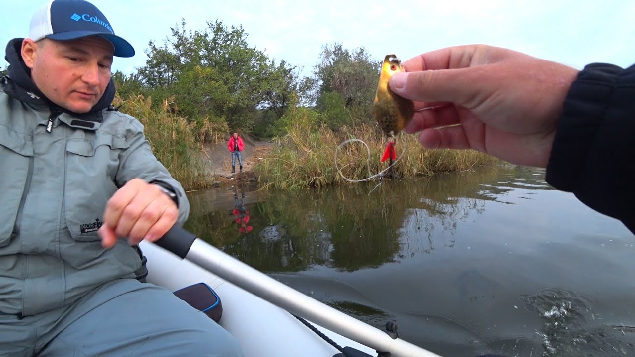 Зняли блешню з очерету, віддали рибаку і він побажав УСПІХУ! Після цього ось така рибалка вийшла.