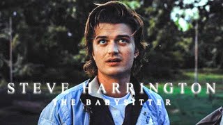 (ST) Steve Harrington | The Babysitter