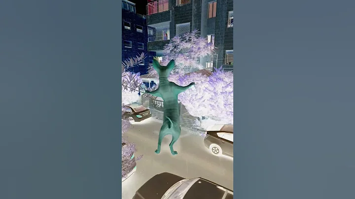 Watch the video about #crazily #cat #funny #lol #cute #lovely #sphynx #explore