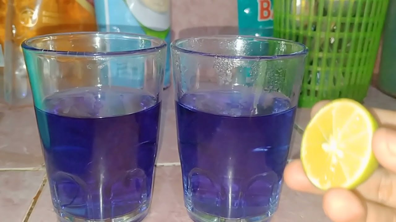 Riset Bunga Telang Grade 5 YouTube