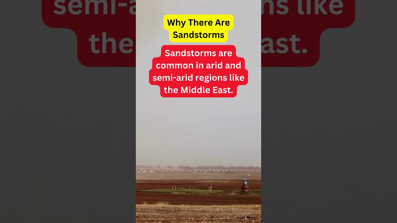 Facts about sandstorm 