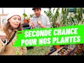 Il a cr une spa pour les plantes 