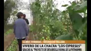 Cliria Torrens - Vivero en la Chacra Los Cipreces del Tellier
