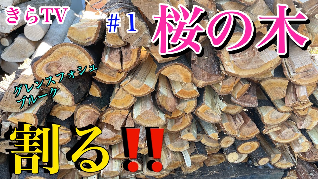 薪割り】焚き火をしながら桜の木を割りまくる‼︎グレンスフォシュ