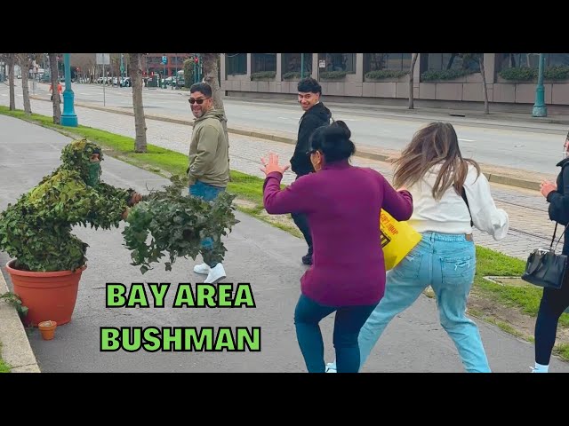 Bushman prank 2024: Giving tourists a scare and a laugh in San Francisco CA! class=