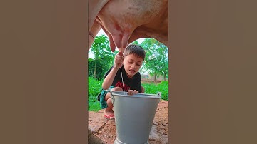 Thumbnail of small girl ftffd vghg #love #song #funny