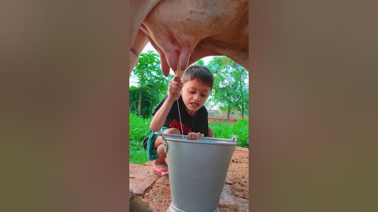 choti choti gaiya ftffd vghg #love #song #funny