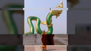 ว ดป าว ป สสนาช ยรามไปหนองคายต