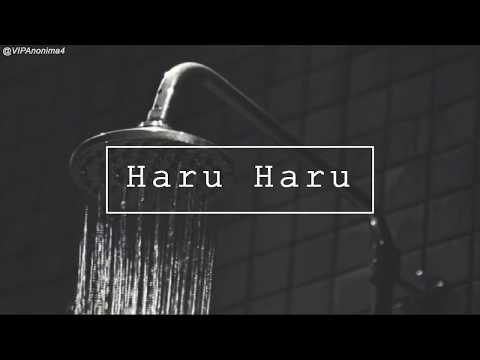 BIGBANG; HARU HARU -Acoustic Ver.- (eng sub)