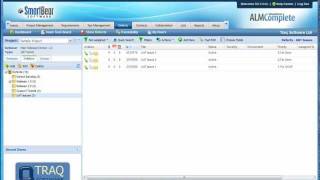 Software Testing UAT Challenges