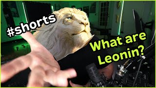 What is a Leonin in D&D?