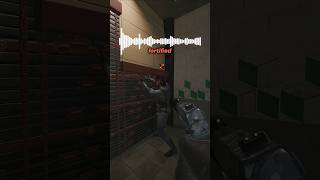Rare Solid Snake Reinforcing Voicelines