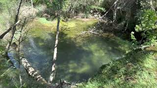 Wild basin nature preserve Austin Texas hike